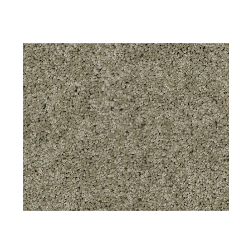 Butterfly Kisses 1 Split Rail Nylon Carpet - Textured