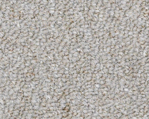 Capital Iii Bl Power Play Nylon Carpet - Loop