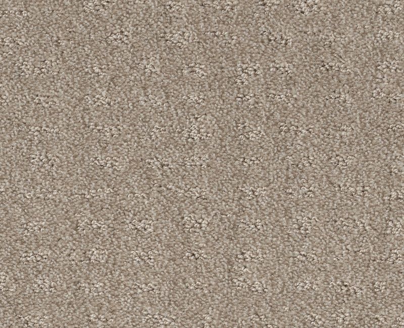 Latest Thing Fossil Path Nylon Carpet - Loop