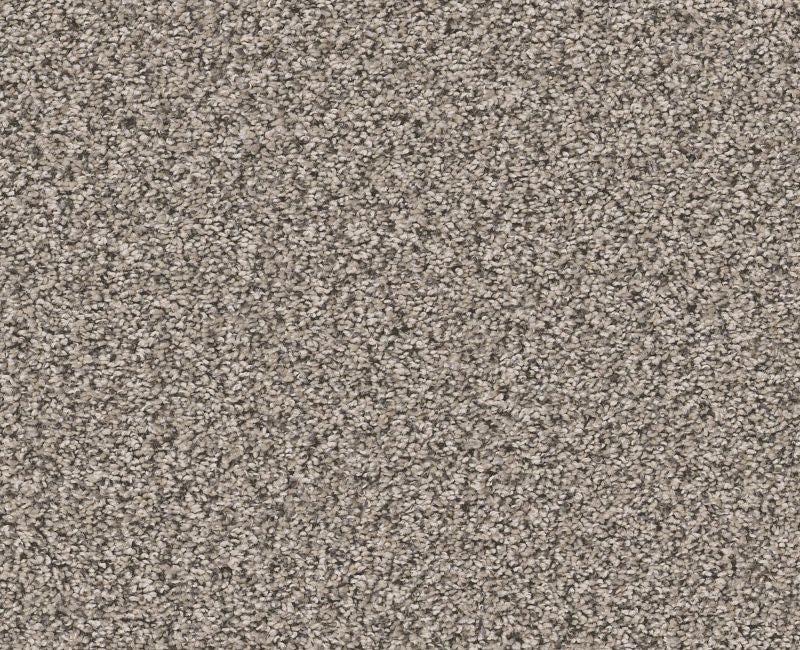 Remixed Classic Vapor Polyester Carpet - Textured
