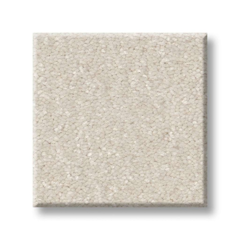 Pet Perfect Hard At Play I 12' Snowfall Polyester Carpet