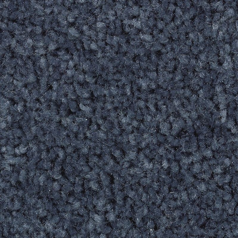 Treasure Valley Endless Blue Polyester Carpet - Textured