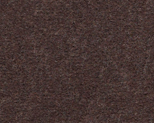 Emphatic Ii 30 Raisin Nylon Carpet - Textured