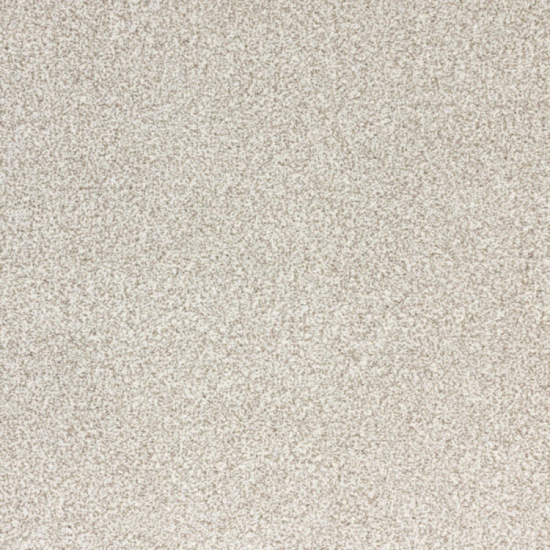 Pure Luxury Plush Polypropylene Carpet - Textured