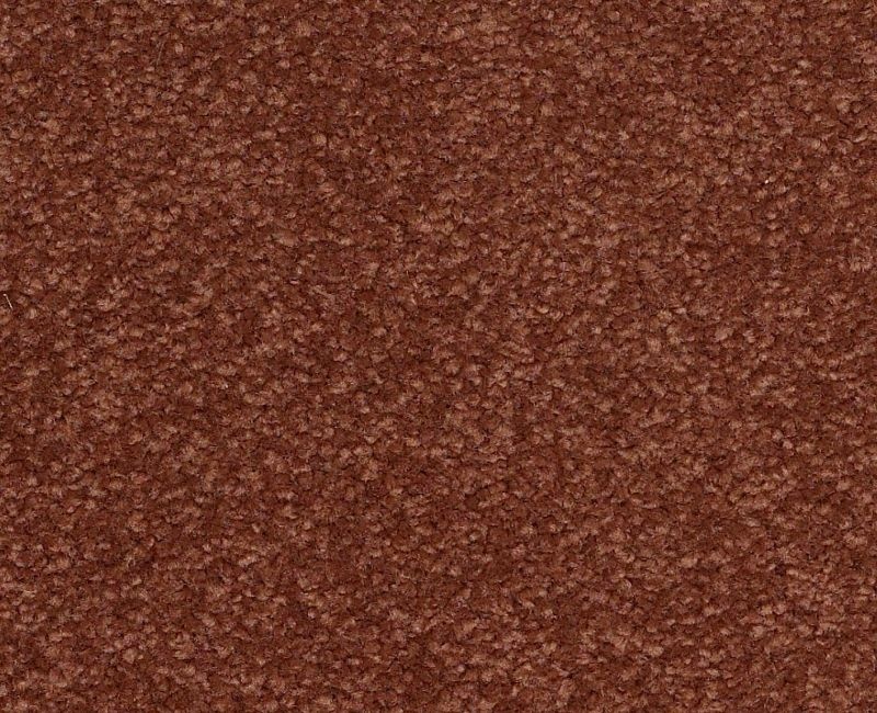 Magic Happens Pv Iii Spice Nylon Carpet - Textured