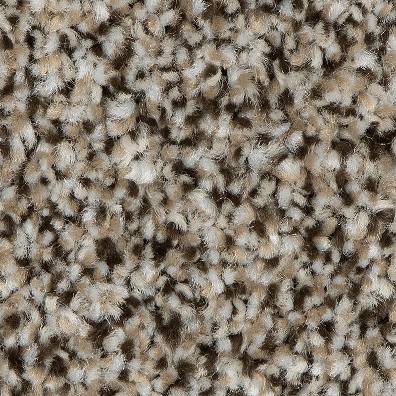 Refreshing Shades Salutation Polyester Carpet - Textured