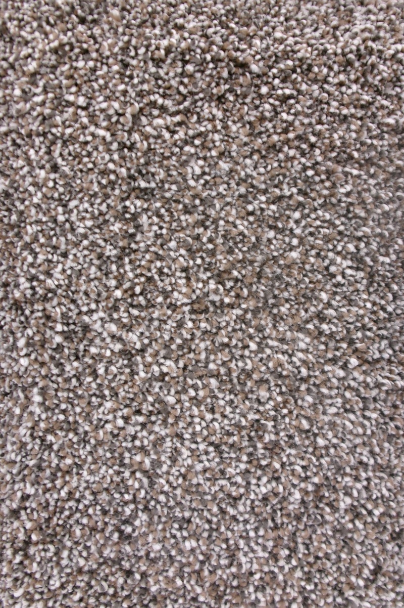 Everest Sierra Polyester Carpet - Textured
