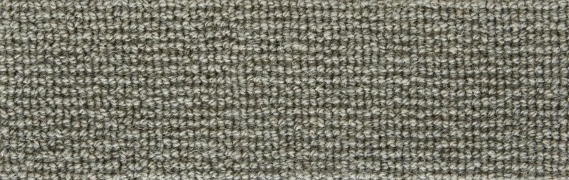 Natural Wonders Forester Flannel Wool Carpet - Textured
