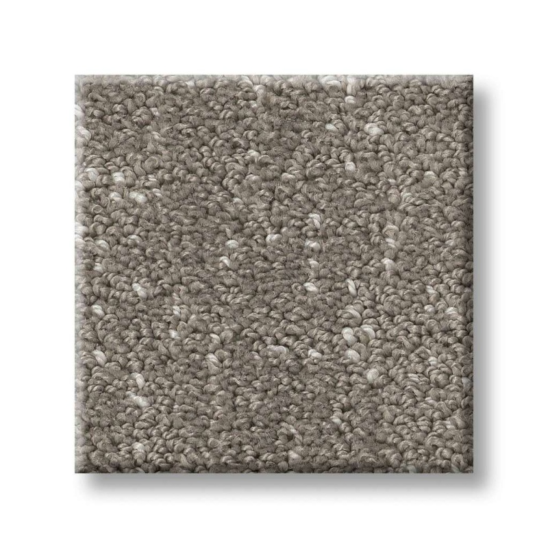 Pet Perfect Run Free Ashes Polyester Carpet