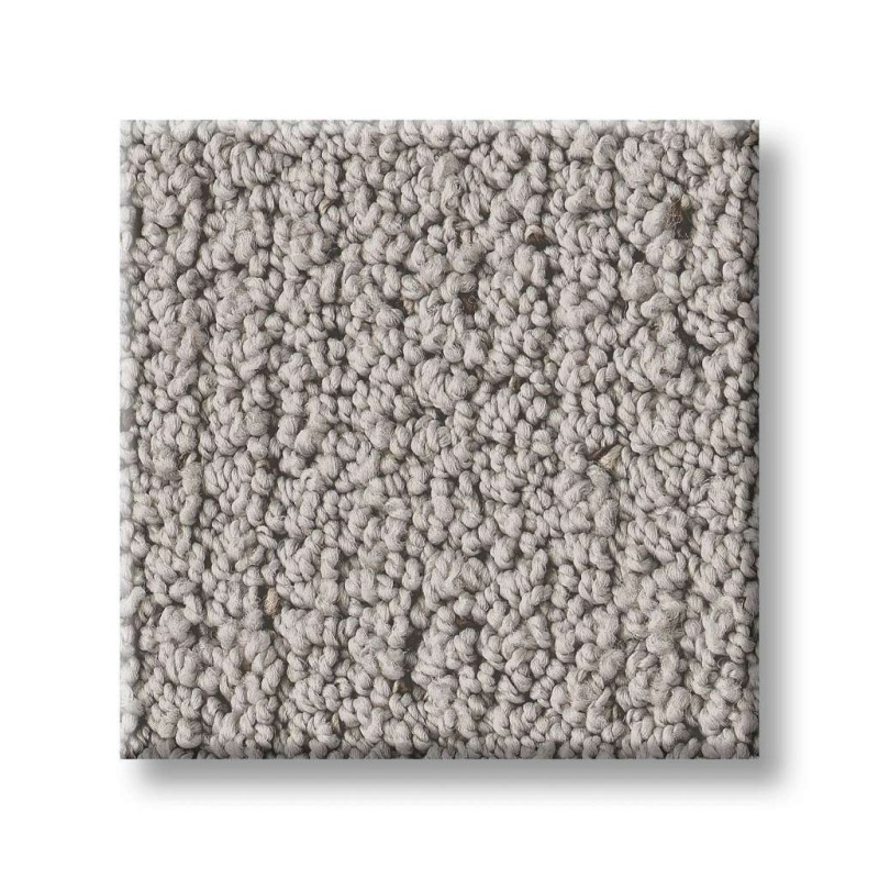 Pet Perfect Intricate Trace Gravity Polyester Carpet - Pattern