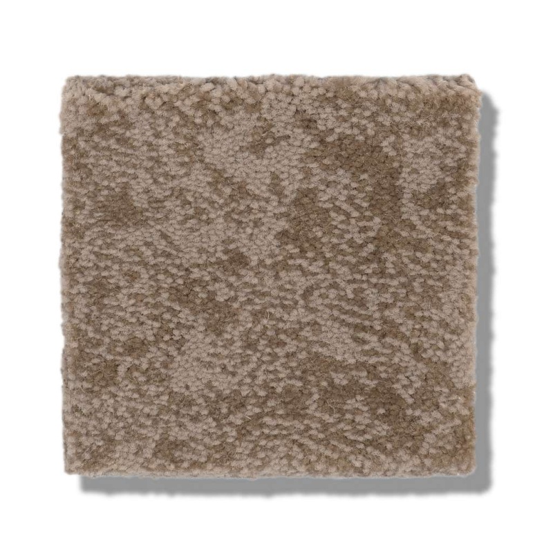 Caress By Shaw Free Spirit Tumbleweed Nylon Carpet