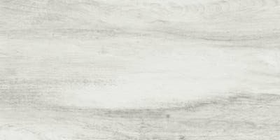Citrus Blossom Porcelain Tile - Natural - 12" X 24"