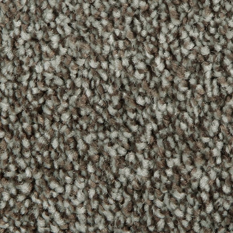 Distinct Beauty I Americana Polyester Carpet - Textured