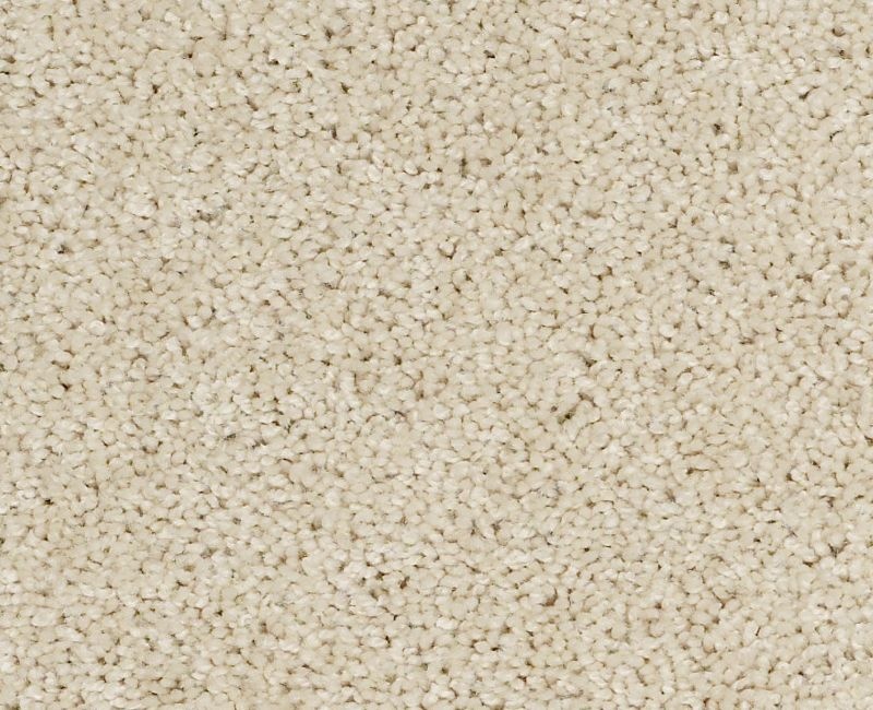In A Twinkling Antique Linen Nylon Carpet - Textured