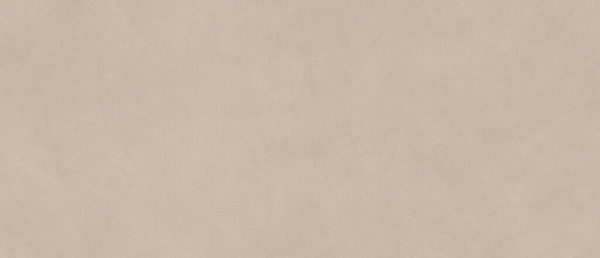 B Natural Ash Ceramic Tile - Matte - 20" x 48"