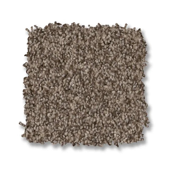 Bossa Nova Palm Desert Nylon Carpet - Textured