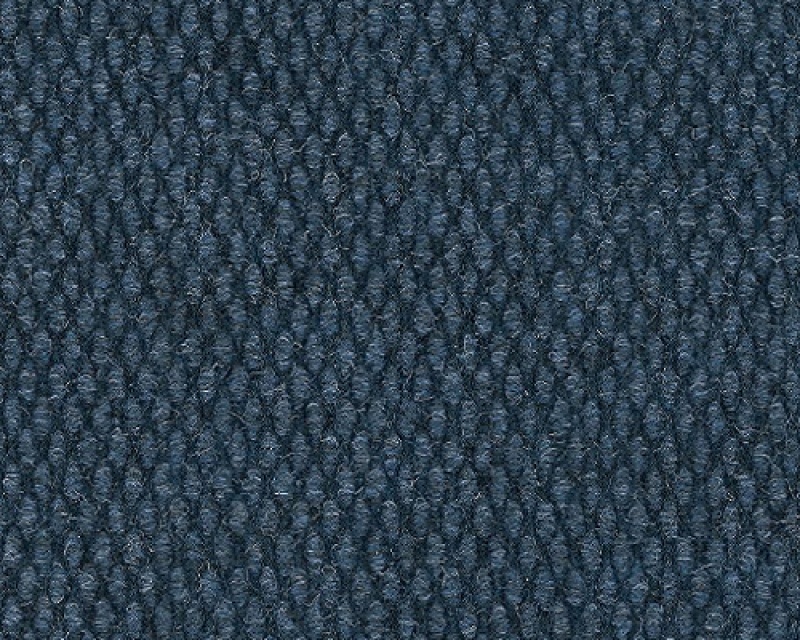 Commons II Indigo Polypropylene Carpet - Textured
