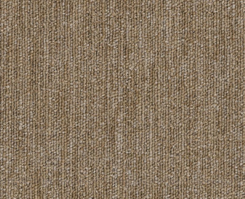 Clearance Sale! Profusion Bl 20 Gold Polyester Carpet - Loop