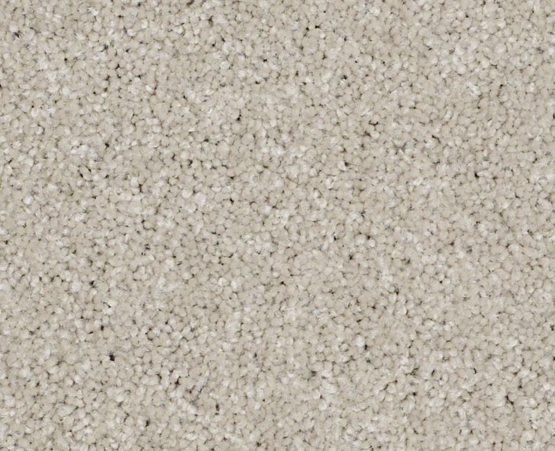 Anso Open Iii (S) Soft Chamois Nylon Carpet - Textured