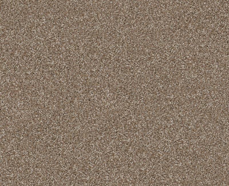 Anso Open Iii (T) Sombrero Nylon Carpet - Textured