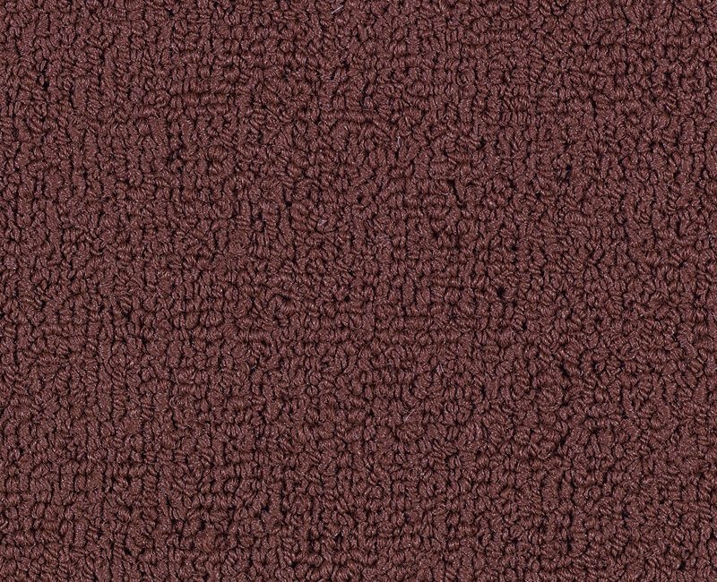 Clearance Sale! Color Accents Bl Crimson Nylon Carpet - Textured