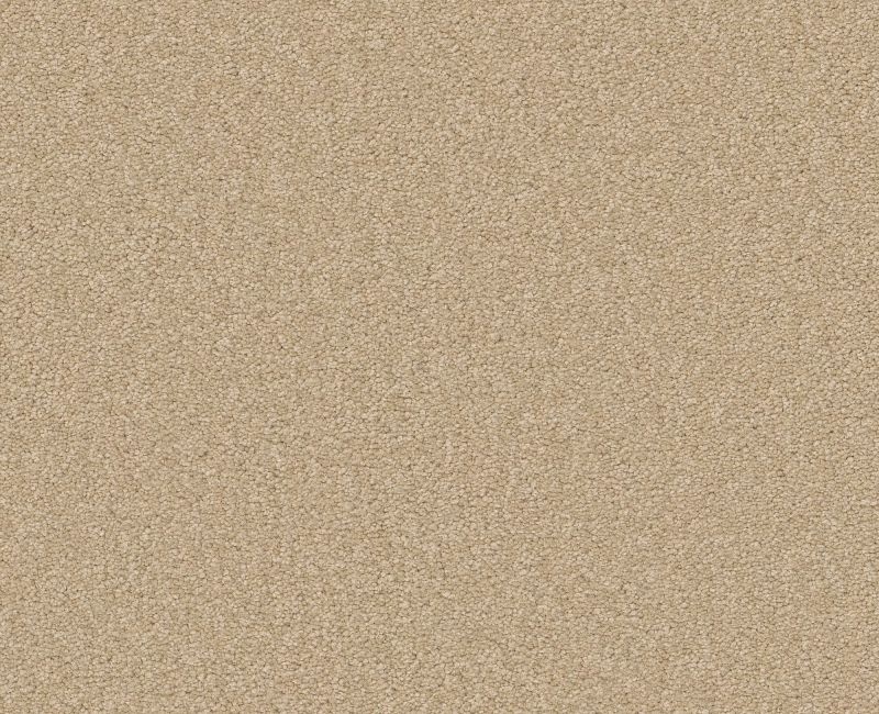 Magic Happens Pv Iv Cameo Nylon Carpet - Textured
