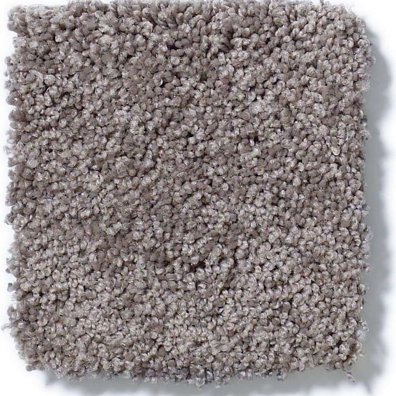 Soft Shades My Choice Ii Sepia Nylon Carpet - Textured