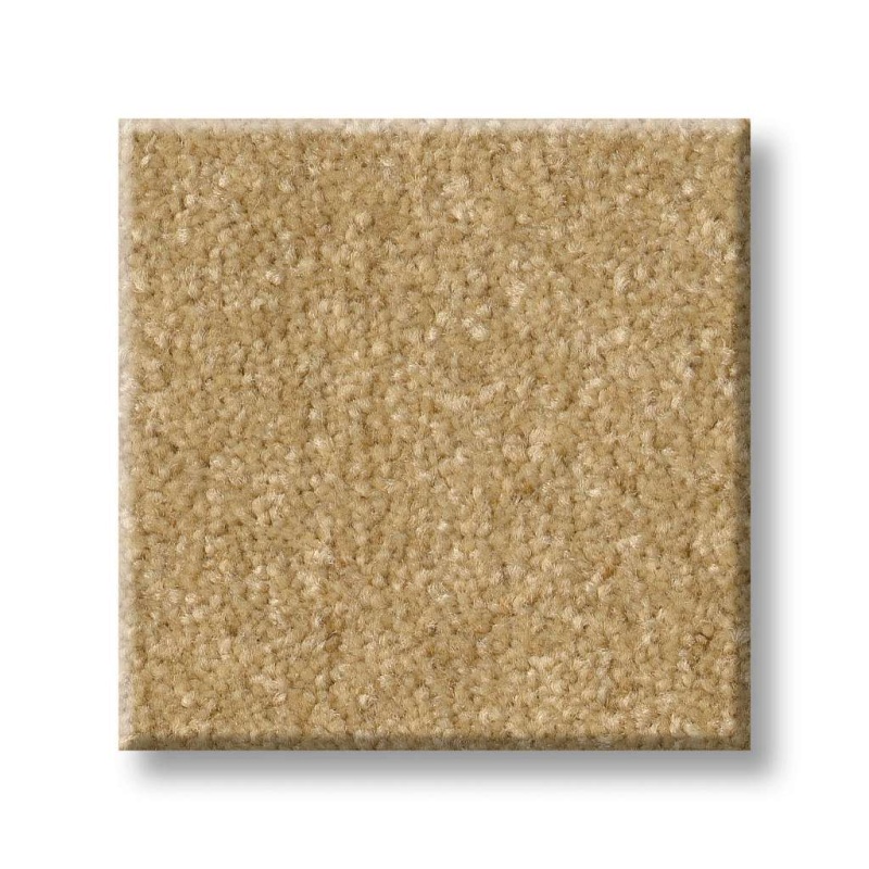 Pet Perfect Hard At Play I 15' Honeycomb Polyester Carpet - Textured