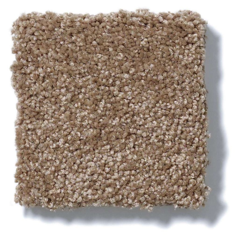 You Know It Acorn Nylon Carpet - Textured