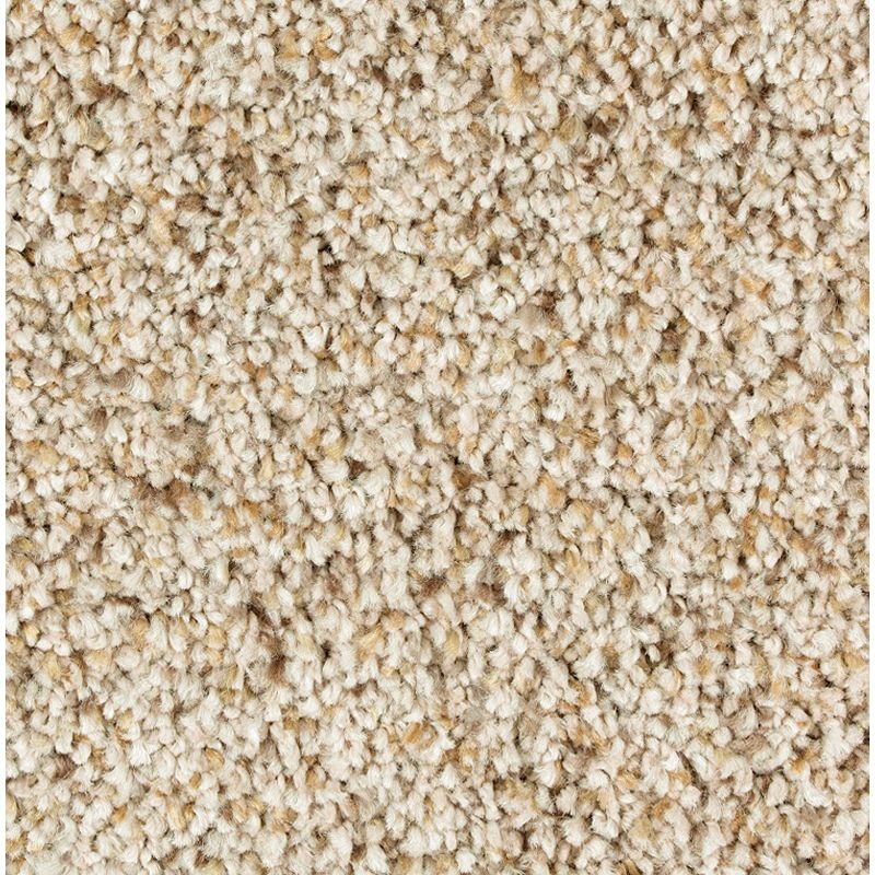Exquisite Appeal Cliff Dwelling Triexta Carpet - Textured