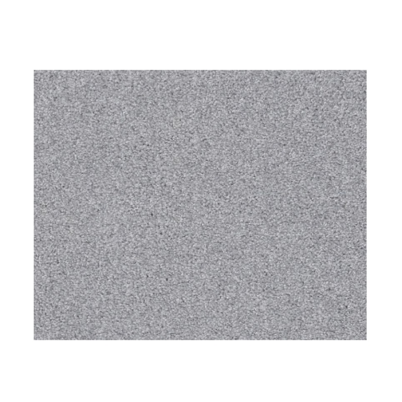 Bountiful Beauty Silver Strand Nylon Carpet - Textured