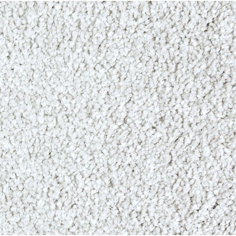 Exquisite Shades Homage Triexta Carpet - Textured