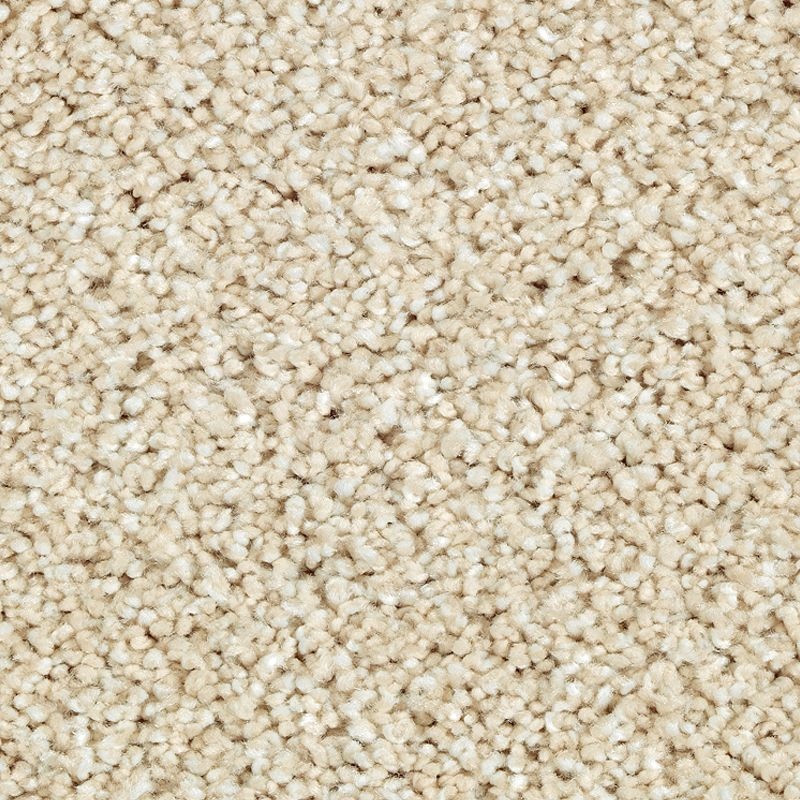 Natural Refinement Ii Soft Linen Triexta Carpet - Textured