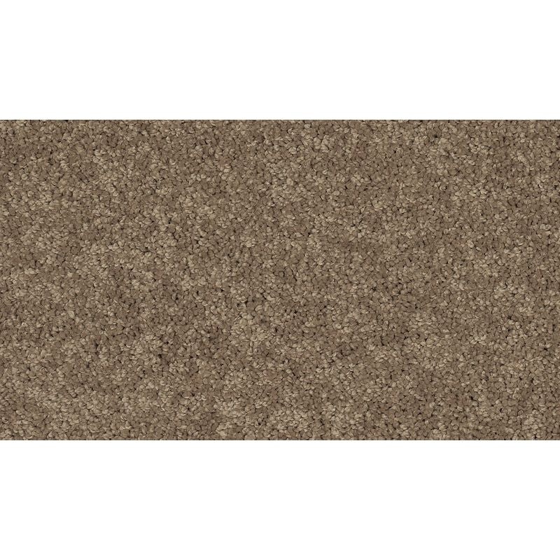Soft Edition I Stetson Polyester Carpet - Textured