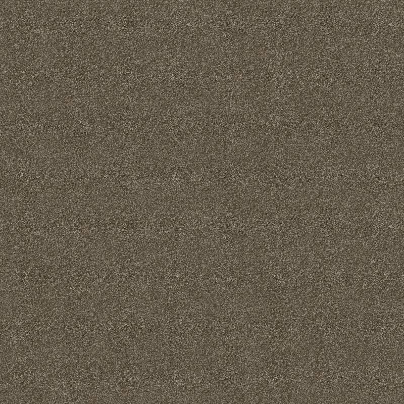 Anso Open Ii (S) Saddle Nylon Carpet - Textured