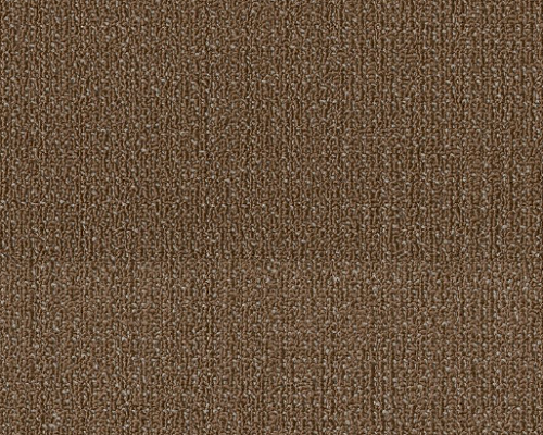 Reshaped Readapt Evolve Nylon Carpet Tile - Loop - 24" x 24"
