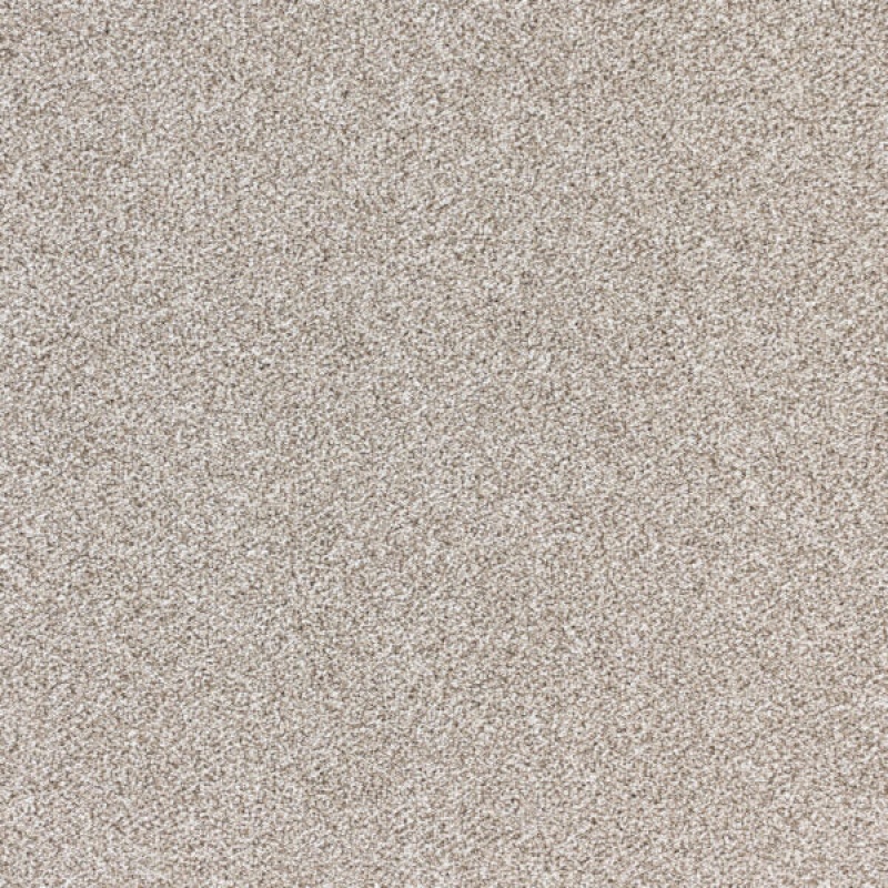 Nuance Refined Taupe Polypropylene Carpet - Textured