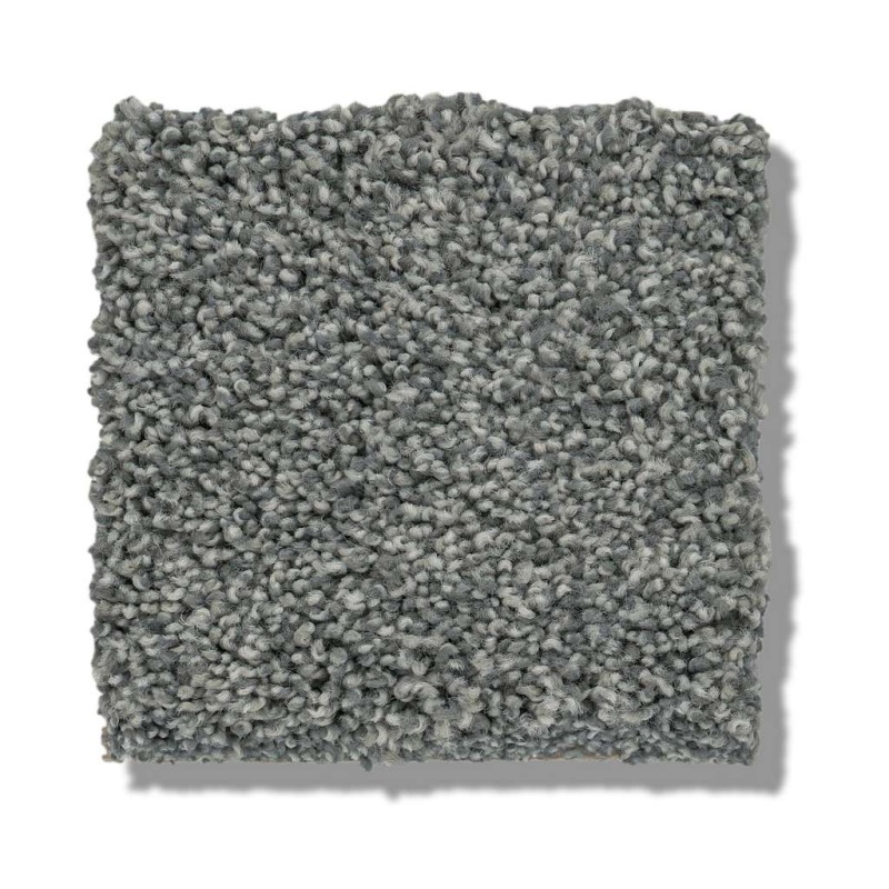 Caress By Shaw Cozy Harbor I Waters Edge Nylon Carpet - Textured