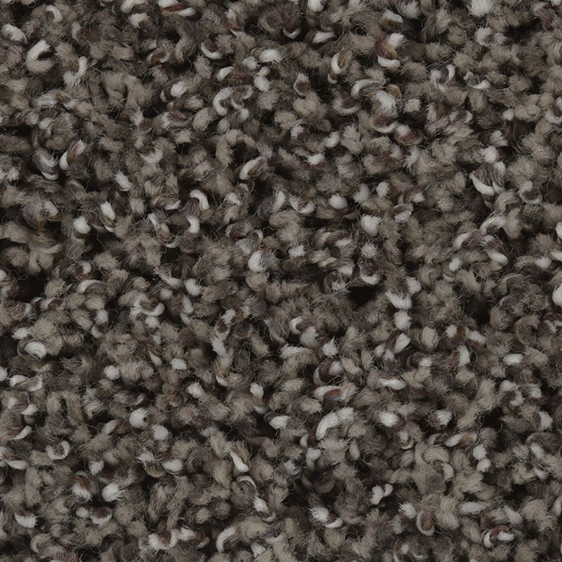 Exquisite Character Weathered Slate Triexta Carpet