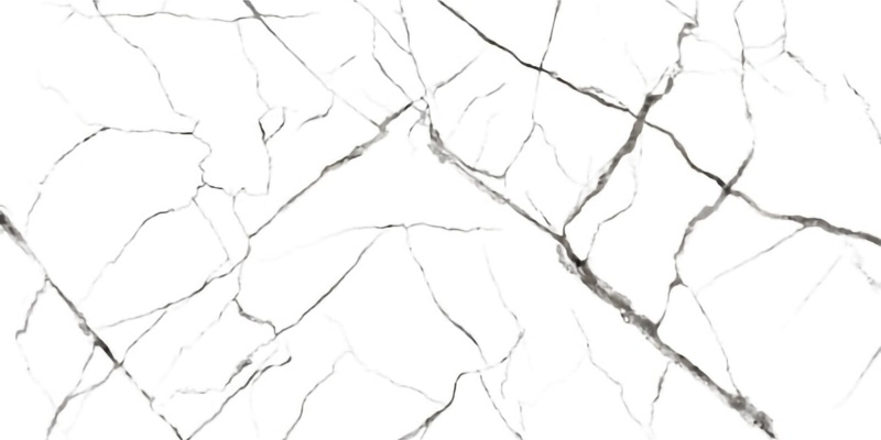 Reverse Arctic Porcelain Tile - Polished - 24" X 48"