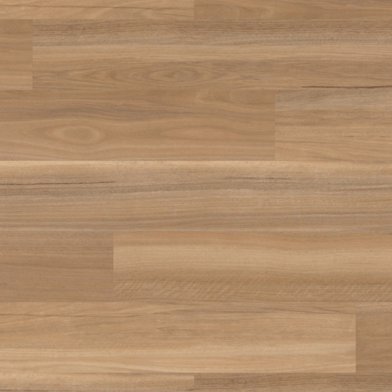Van Gogh River Spotted Gum Glue Down Luxury Vinyl Plank Flooring - Textured - 7" X 48"