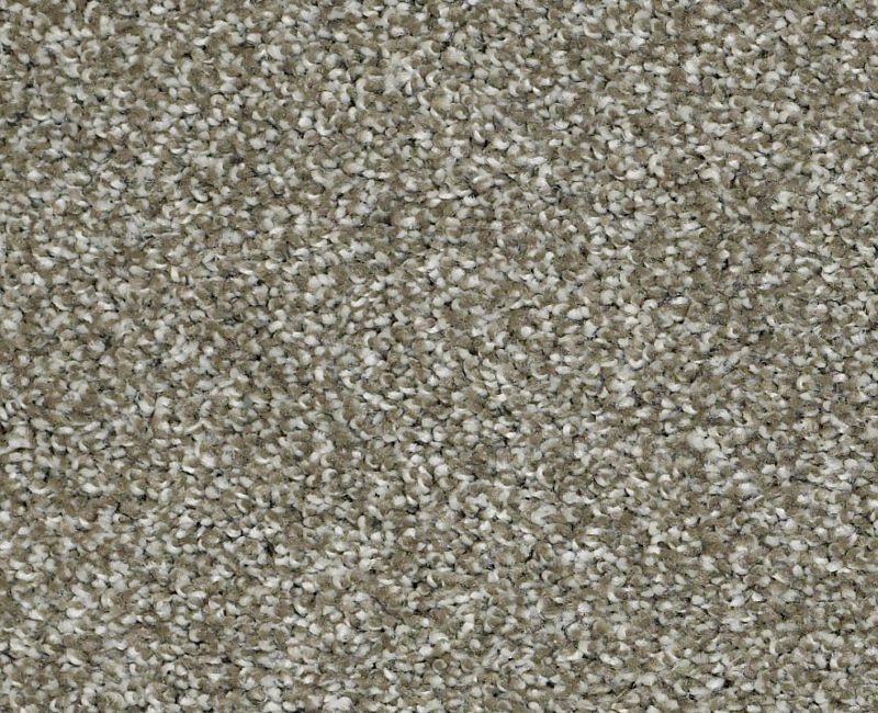Uncomplicated Silver Sage Nylon Carpet - Pattern