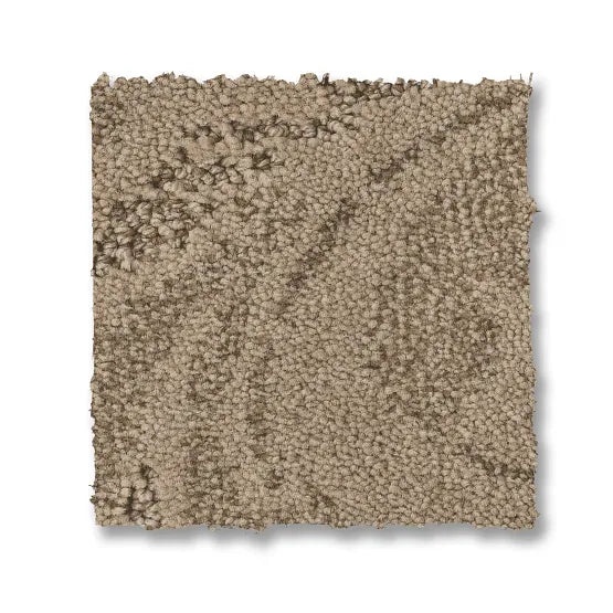 Charismatic Windswept Nylon Carpet - Pattern