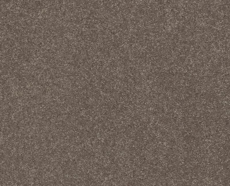 Relentless I 15 Pewter Polyester Carpet - Loop
