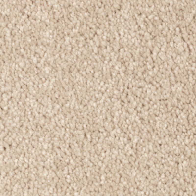 Natural Splendor I Beach Pebble Triexta Carpet - Textured