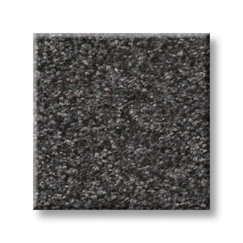 Pet Perfect You Got This Iii Shadow Polyester Carpet - Textured