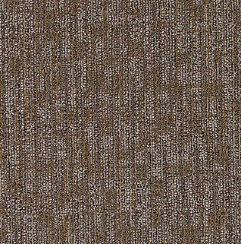Inspiration Enduring Function Totally Unexpected Nylon Carpet - Loop
