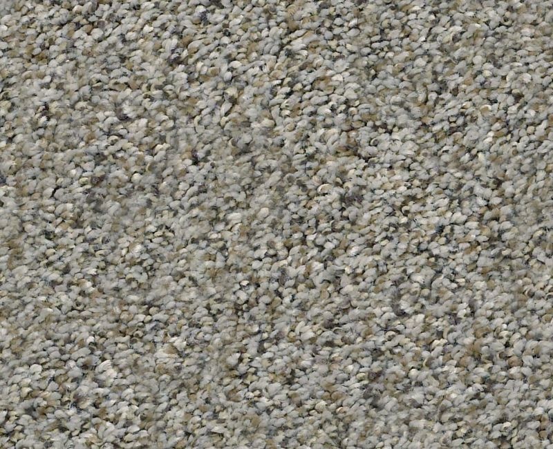 Marks The Spot I Rhino Polyester Carpet - Textured