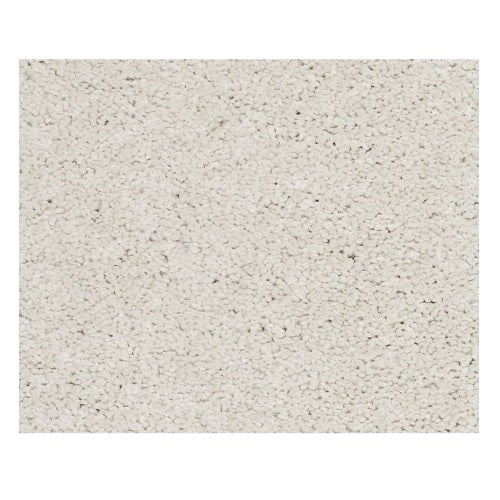 Simply Soft III Suffolk Nylon Carpet - Textured
