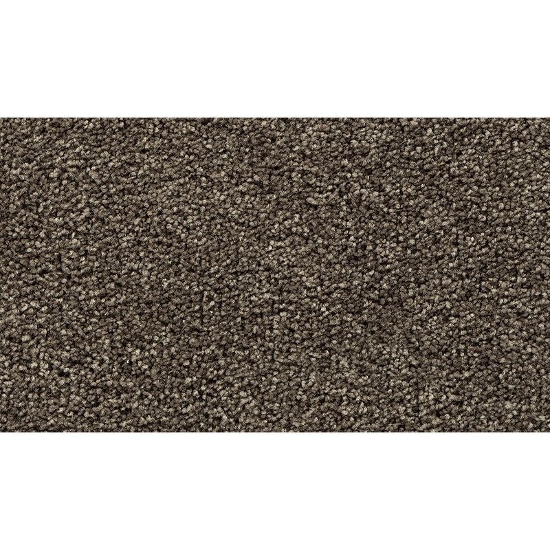 Bold Choice Cathedral Polyester Carpet - Textured